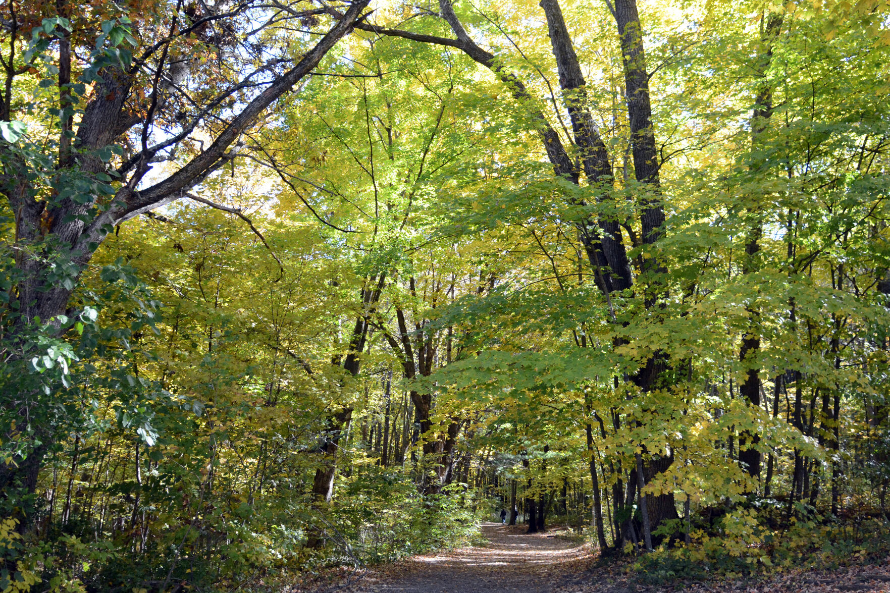 Baraboo area fall color, Oct. 8, 2020